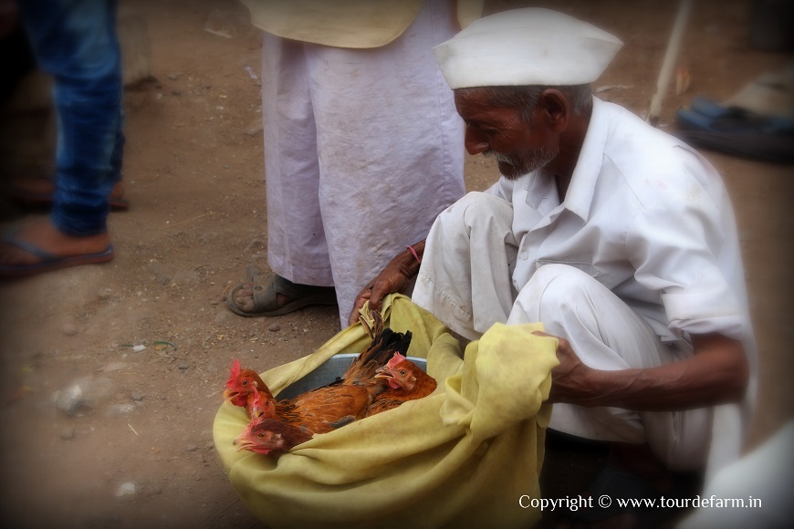 Desi Hen Market