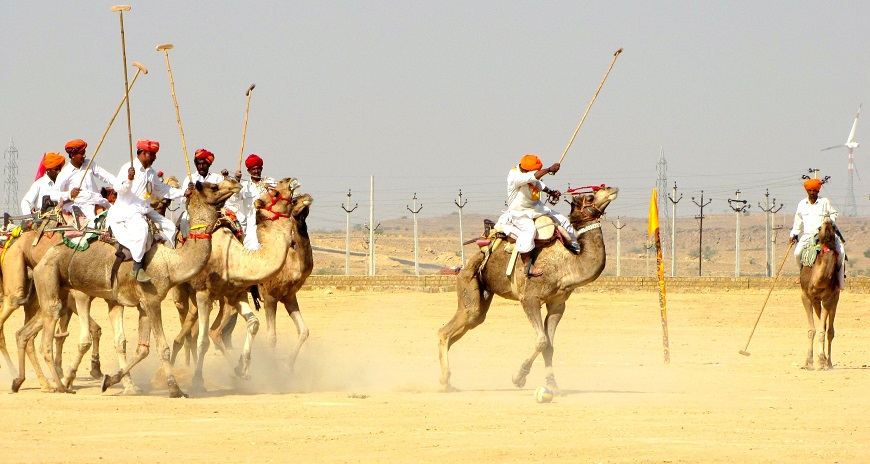 Marwar-Festival Camel Polo