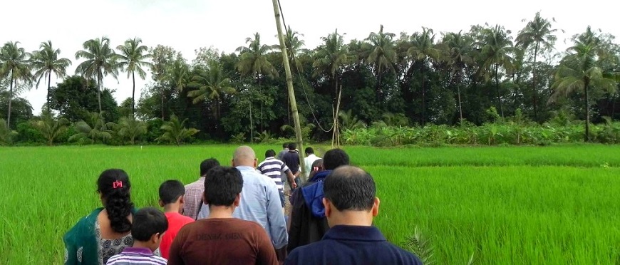 Rice Plantation Farm Experience