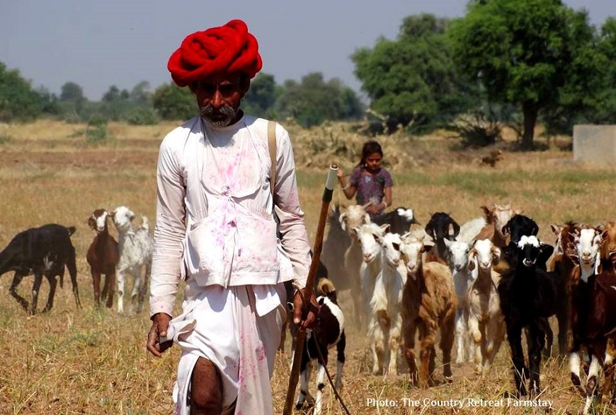 Rural Rajasthan